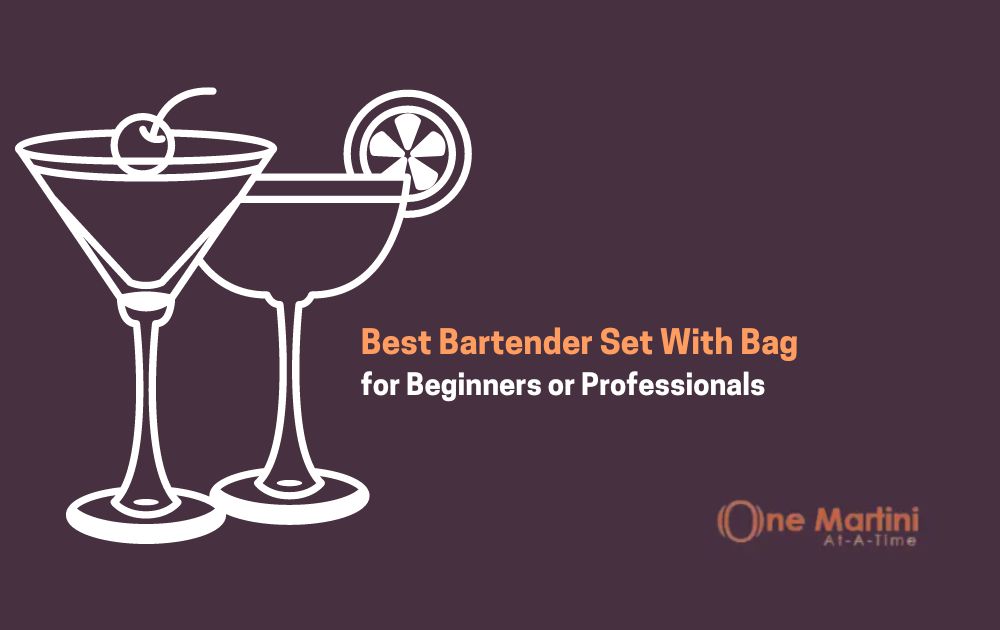 Best Bartender Set With Bag