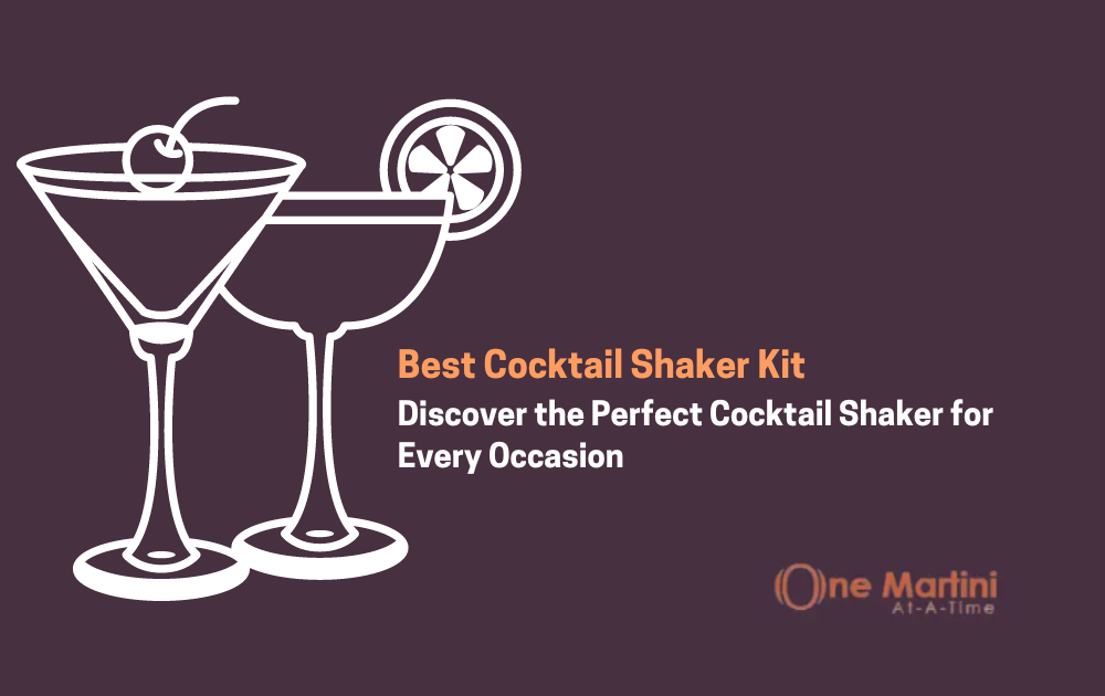 Best Cocktail Shaker Kit
