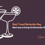 Best Travel Bartender Bag