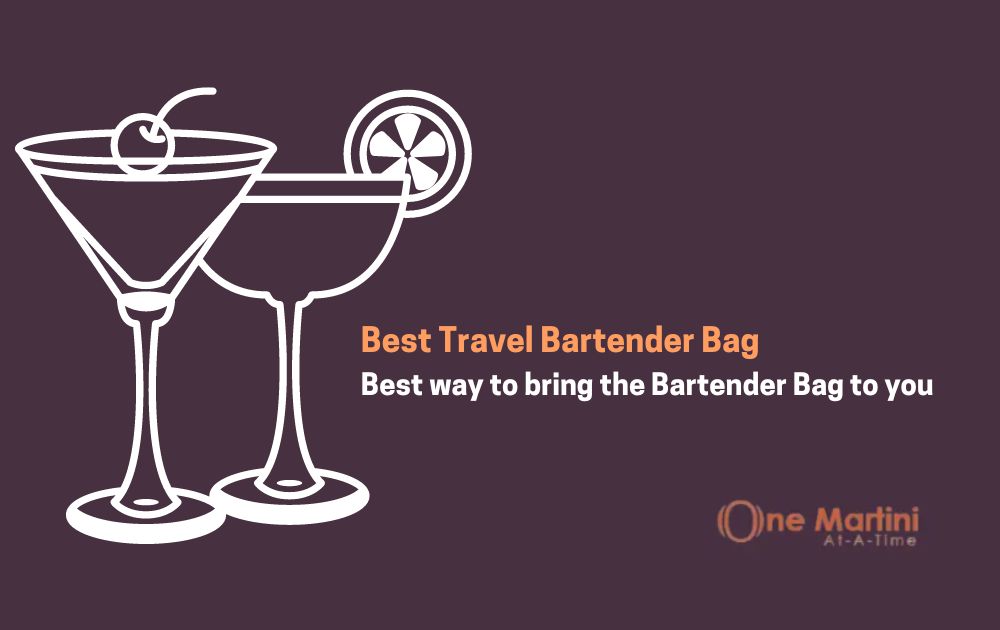 Best Travel Bartender Bag