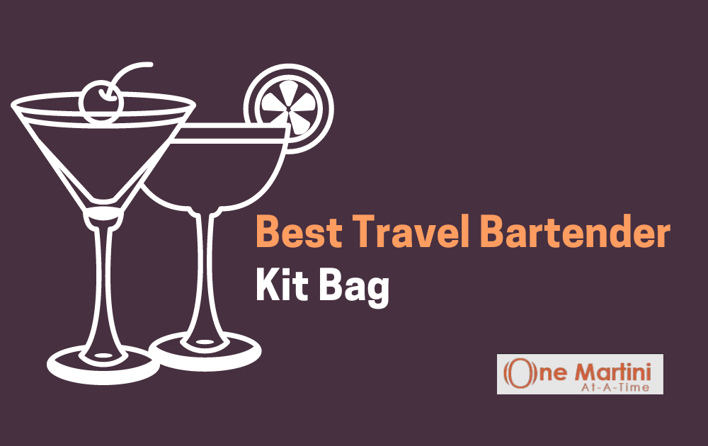 Best Travel Bartender Kit Bag